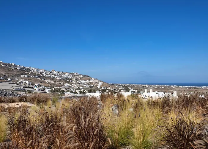 Willa Felicity Cave Éxo Goniá