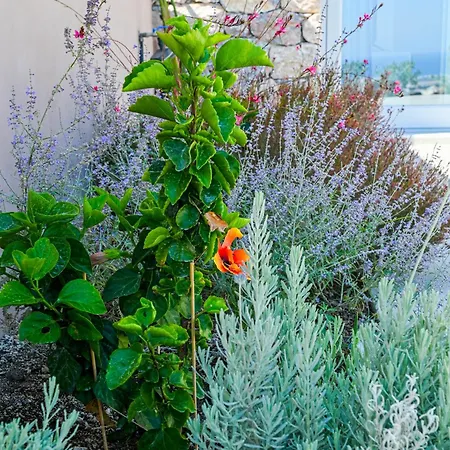 Villa Felicity Cave Éxo Goniá