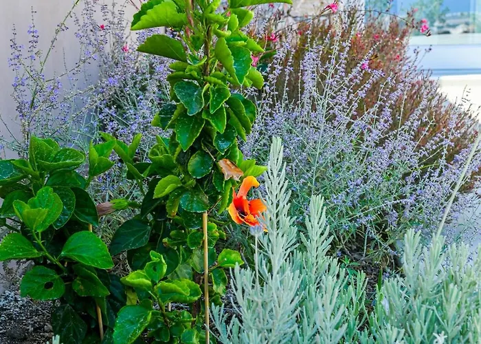 Villa Felicity Cave Éxo Goniá
