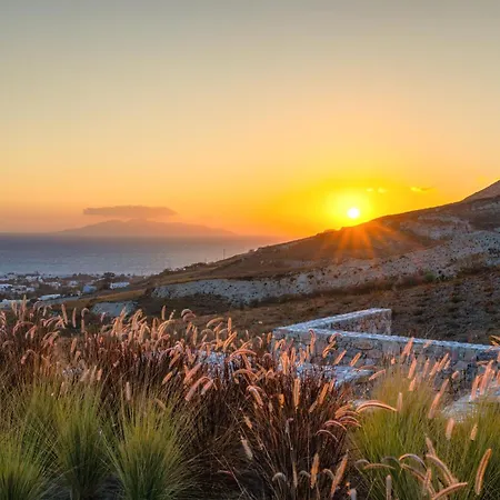 Felicity Cave فيلة *